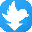 Twitter™ Video Downloader Plus  screen for extension Chrome web store in OffiDocs Chromium