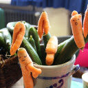 Two branched carrots  screen for extension Chrome web store in OffiDocs Chromium