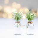 Two glass jars  screen for extension Chrome web store in OffiDocs Chromium