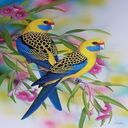 two parrots wallpaper  screen for extension Chrome web store in OffiDocs Chromium