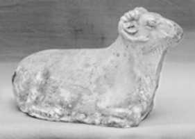 Free download Two Sheep free photo or picture to be edited with GIMP online image editor