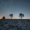 Two trees under the stars  screen for extension Chrome web store in OffiDocs Chromium