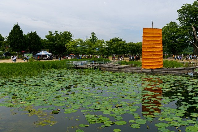 Безкоштовно завантажте Two Water Head Yangpyeong Lake — безкоштовну фотографію чи зображення для редагування за допомогою онлайн-редактора зображень GIMP