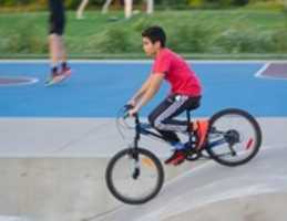 Free download Two-Wheeled Trotter free photo or picture to be edited with GIMP online image editor