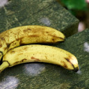 Two yellow spotted bananas  screen for extension Chrome web store in OffiDocs Chromium