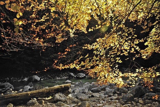 チロルオーストリアの自然を無料でダウンロード-GIMPオンラインイメージエディターで編集できる無料の写真または画像
