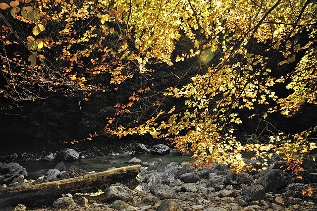 Kostenloser Download Tirol Österreich Natur - kostenloses Foto oder Bild zur Bearbeitung mit GIMP Online-Bildbearbeitung