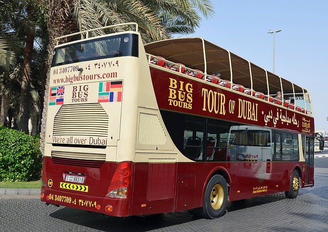Free download u a e dubai vacations palm trees free picture to be edited with GIMP free online image editor