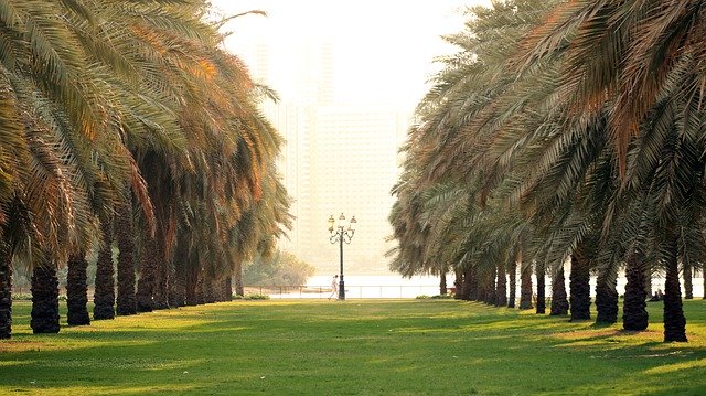 Bezpłatne pobieranie ZEA Krajobraz Emiraty - bezpłatne zdjęcie lub obraz do edycji za pomocą internetowego edytora obrazów GIMP