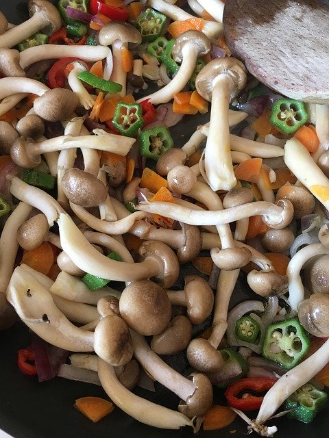 Gratis download Udon With Okra Mushrooms Chili Red - gratis foto of afbeelding om te bewerken met GIMP online afbeeldingseditor