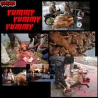 Free download ulc Lucifer ( 26) free photo or picture to be edited with GIMP online image editor