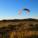 Umbrella and grass field  screen for extension Chrome web store in OffiDocs Chromium