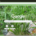 Umbrella Plant  screen for extension Chrome web store in OffiDocs Chromium