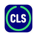 Сumulative layout shift  screen for extension Chrome web store in OffiDocs Chromium