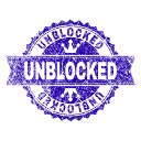 Unblocked  screen for extension Chrome web store in OffiDocs Chromium