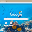 Underwater Coral Reef  screen for extension Chrome web store in OffiDocs Chromium