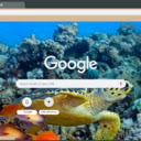 Underwater Sea Turtles  screen for extension Chrome web store in OffiDocs Chromium
