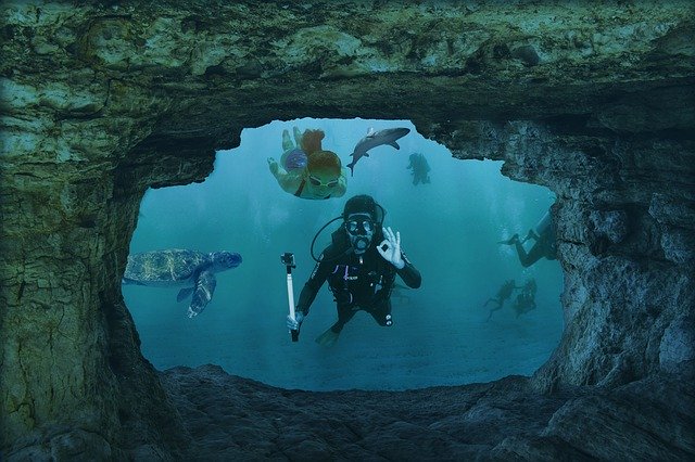 Descarga gratuita Underwater World Divers Assembly: foto o imagen gratuita para editar con el editor de imágenes en línea de GIMP