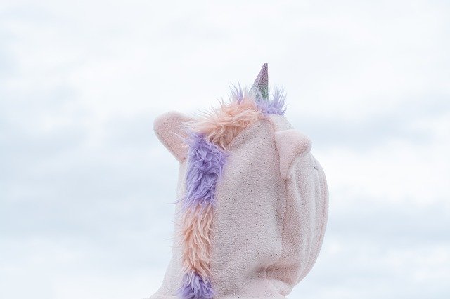 Muat turun percuma Karnival Kostum Unicorn - foto atau gambar percuma untuk diedit dengan editor imej dalam talian GIMP