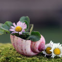 Unique snail flower vase  screen for extension Chrome web store in OffiDocs Chromium