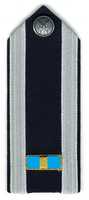 Free picture United States Air Force Mess Dress Rank Marks to be edited by GIMP online free image editor by OffiDocs