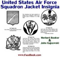 Free download United States Air Force Squadron Jacket Insignia 001 free photo or picture to be edited with GIMP online image editor