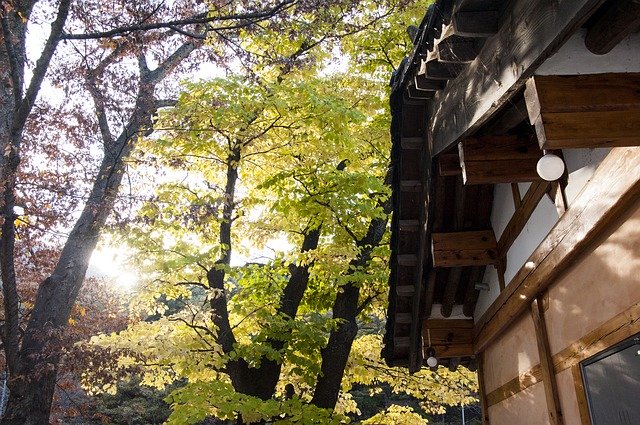 韓国・慶南の秋の雲門寺を無料ダウンロード - GIMP オンライン画像エディターで編集できる無料の写真または画像