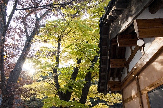 Téléchargement gratuit Unmunsa In Autumn Gyeongnam Korea - photo ou image gratuite à éditer avec l'éditeur d'images en ligne GIMP