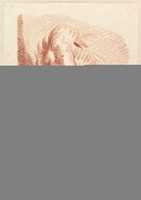 Free download Untitled (Head Of A Man In Turban) free photo or picture to be edited with GIMP online image editor