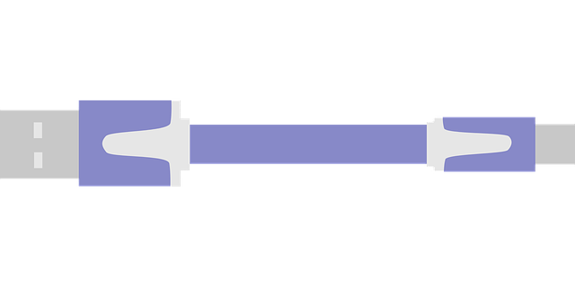 Free download Usb Cable - Free vector graphic on Pixabay free illustration to be edited with GIMP free online image editor