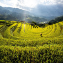 U shaped terraced fields  screen for extension Chrome web store in OffiDocs Chromium