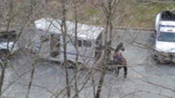 Free download US - Washington D.C. - 2014-03-16  free photo or picture to be edited with GIMP online image editor