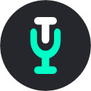 V2T: Voice To Text  screen for extension Chrome web store in OffiDocs Chromium