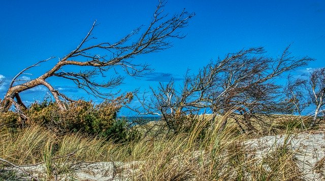 Free download Vacations Baltic Sea Prerow -  free photo or picture to be edited with GIMP online image editor