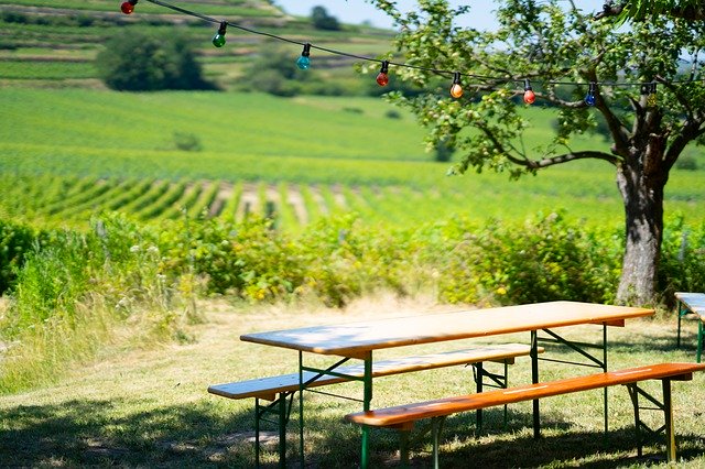 Bezpłatne pobieranie Vacations Wine Celebration - bezpłatne zdjęcie lub obraz do edycji za pomocą internetowego edytora obrazów GIMP