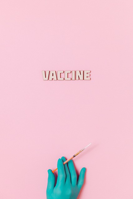 Free download vaccine covid 19 syringe injection free picture to be edited with GIMP free online image editor