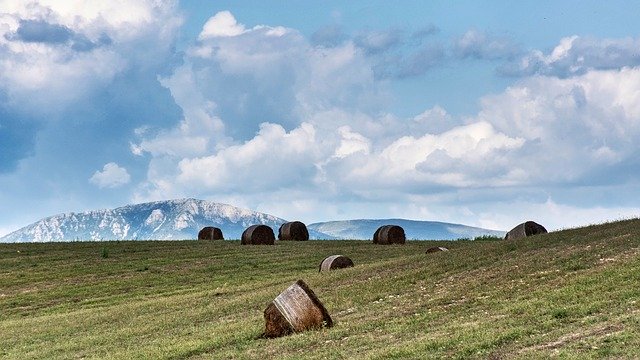 تنزيل مجاني Valensole Beautiful Landscape - صورة مجانية أو صورة لتحريرها باستخدام محرر الصور عبر الإنترنت GIMP