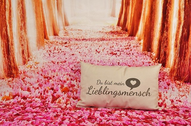 Free download ValentineS Day Love Favorite -  free illustration to be edited with GIMP free online image editor