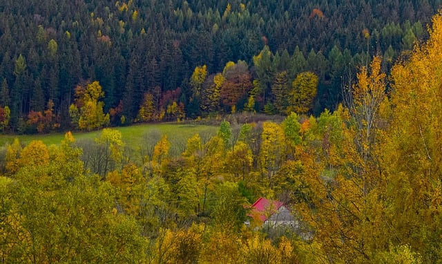 Free download valley autumn forest lower silesia free picture to be edited with GIMP free online image editor