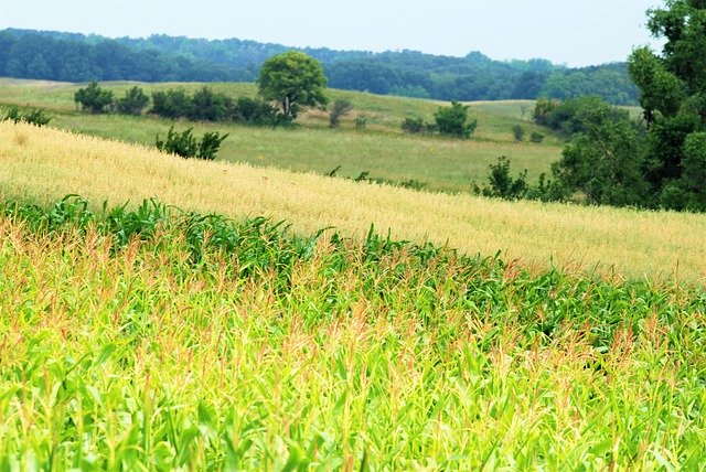 Téléchargement gratuit de Valley Fields Rolling Hills - photo ou image gratuite à modifier avec l'éditeur d'images en ligne GIMP