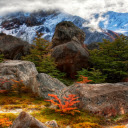 Valley of Giants  screen for extension Chrome web store in OffiDocs Chromium