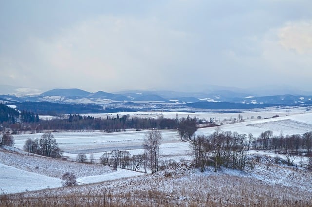 Bezpłatne pobieranie drzew doliny widok śniegu zima darmowe zdjęcie do edycji za pomocą bezpłatnego edytora obrazów online GIMP
