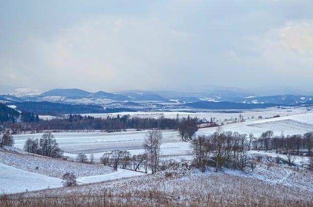 Free download valley trees snow view winter free picture to be edited with GIMP free online image editor