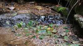 Free download Valley Water Sound -  free video to be edited with OpenShot online video editor