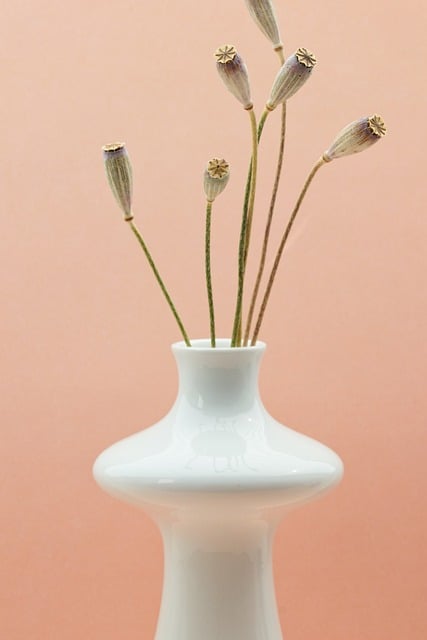 Free download vase fall dry botany dried free picture to be edited with GIMP free online image editor