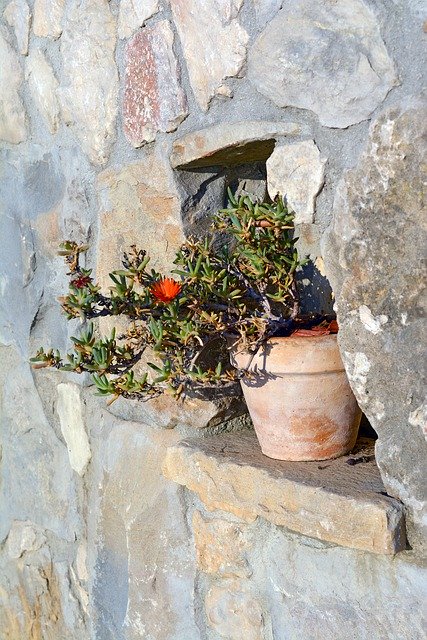 Kostenloser Download Vase Flower Decoration Stone - kostenloses Foto oder Bild zur Bearbeitung mit GIMP Online-Bildbearbeitung