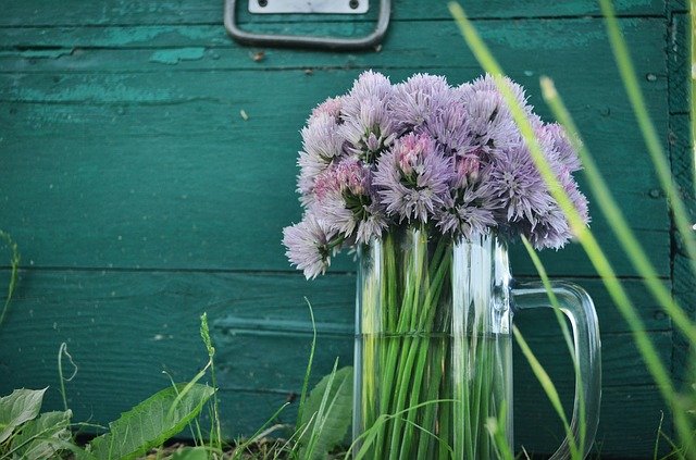 Скачать бесплатно Vase Flowers Bouquet - бесплатное фото или изображение для редактирования с помощью онлайн-редактора GIMP