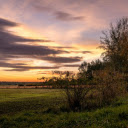 Vast Field  screen for extension Chrome web store in OffiDocs Chromium