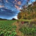 Vegetable field  screen for extension Chrome web store in OffiDocs Chromium