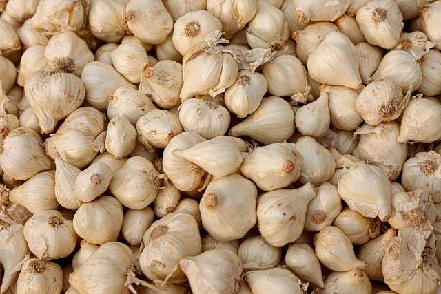 Free download vegetable garlic food ingredient free picture to be edited with GIMP free online image editor